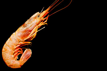 Raw big fresh prawn, shrimp on black cutting serving slate stone desk, healthy snack seafood, background with copy space