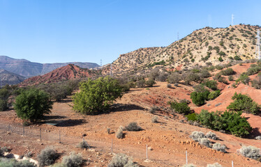 Morocco semi-deserts and mountains, north africa nature, Moroccan stone desert, red hills, villages and argan trees