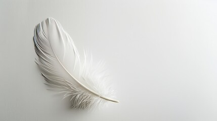 Obraz premium A minimalistic background featuring a single, elegant feather set against a plain white background, with a focus on the delicate details and soft texture of the feather, creating a clean and modern