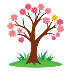 cherry blossom flower leaf tree branch