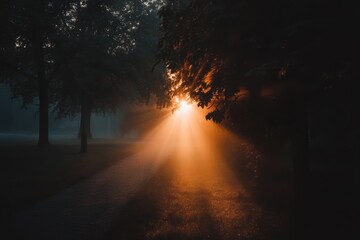 Misty sunrise permeating tranquil park