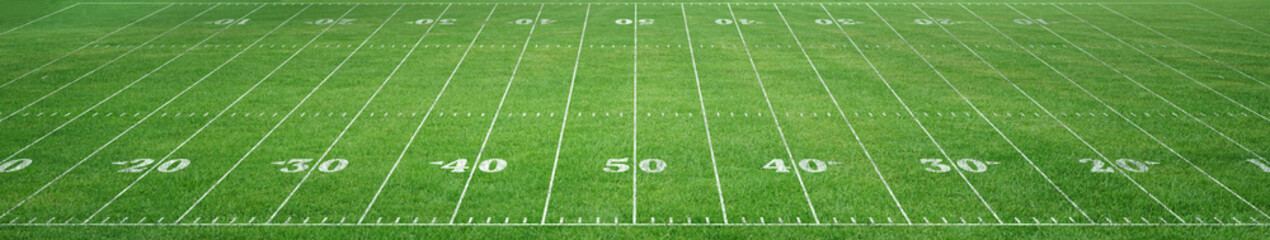 American football field 