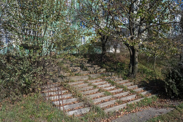 Forgotten Concrete Stairs. Overgrown Urban Steps