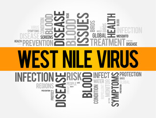 West Nile Virus is a virus that is primarily transmitted to humans through the bite of an infected mosquito, word cloud concept background