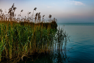 Lake Balaton coast