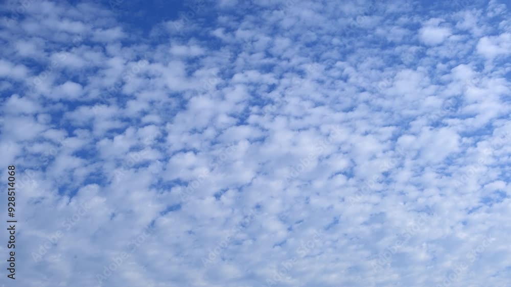 Wall mural blue sky with fluffy cloud time lapse on a sunny day 4k footage.