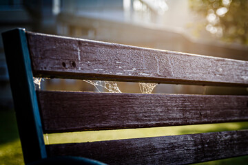 Bench in the sun
