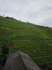 Obraz premium view from the hill
