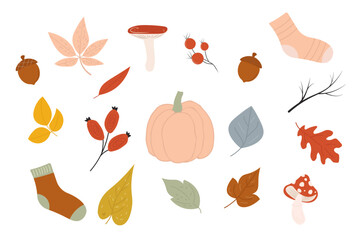 Set of autumn elements. Leaves, pumpkin, mushrooms, acorns, berries