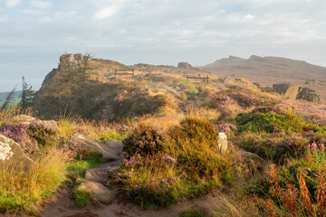 A misty summer sunrise and purple heather in bloom in the Staffordshire Peak District National Park.
