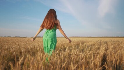 A girl in a green dress runs through the wheat. Nature happy young concept. A free woman runs...