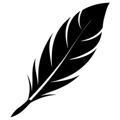 Feather silhouette vector illustration