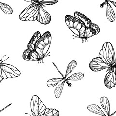 Seamless pattern with vector dragonflies and butterfly. Hand painted linear insects. Graphic clipart isolated on background. Botanical and wedding illustration. For designers, invitations, decoration © Natalia