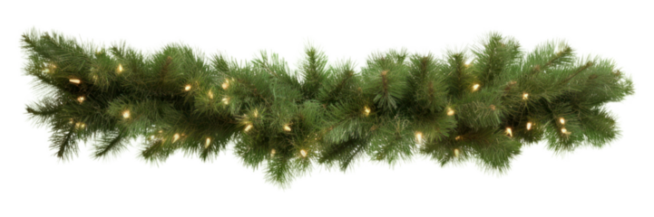 PNG Christmas decoration plant tree christmas decorations.