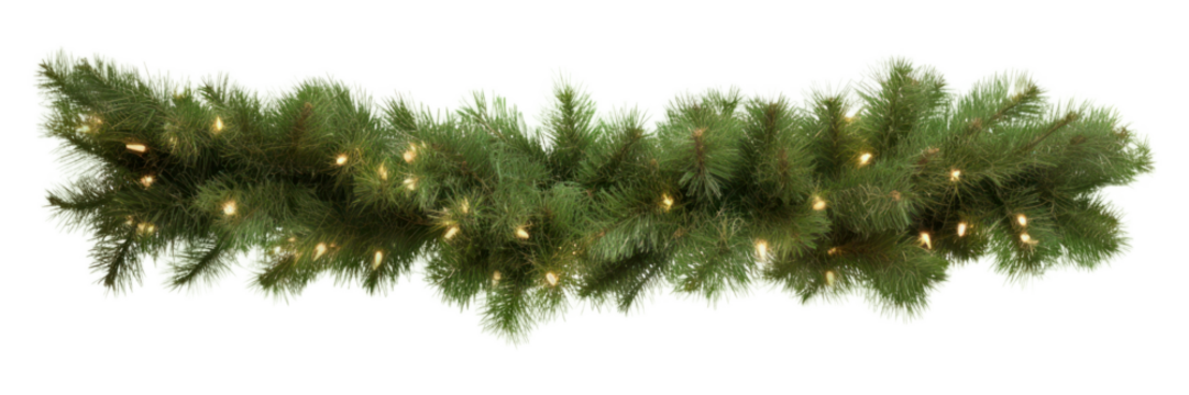 PNG Christmas decoration plant tree christmas decorations.