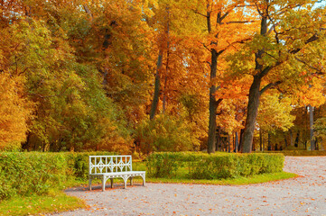 Autumn park landscape. White bench in the autumn park under colorful autumn trees