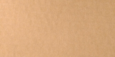 Recycling brown cardboard texture. Brown paper text space. 