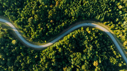 Aerial top view of green trees along with twisted road