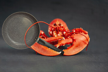 red lobster on dark background