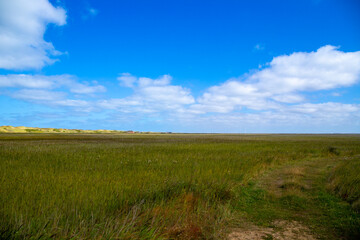 Obraz premium Wide landscape on the coast of Denmark with dunes in the background