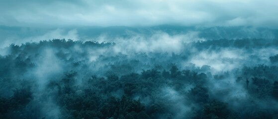 Fototapeta premium Creepy Fog Blanketing Mystery Landscape - Perfect for Suspense Themes