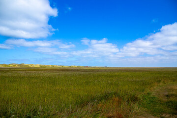 Wide landscape on the coast of Denmark with dunes in the background