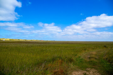 Obraz premium Wide landscape on the coast of Denmark with dunes in the background
