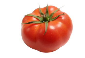 Tomato set. Red tomato collection. Realistic tomatoes on isolared transparent background