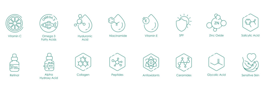 Vitamin C, Omega-3 Fatty Acid, Hyaluronic Acid, Niacinamide, Vitamin E, SPF, Zinc Oxide, Salicylic Acid, Retinol, Alpha Hydroxy Acid, Collagen, Peptides, Antioxidants, Ceramide, vector icons