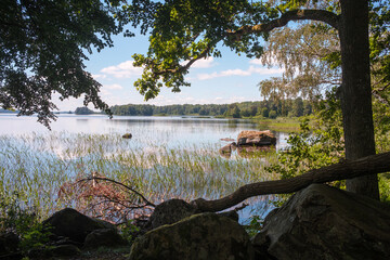 Nationalpark Åsnen Ufer mit Wald und Schilf