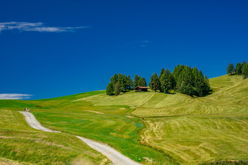 Alpe Altopiano di Siusi