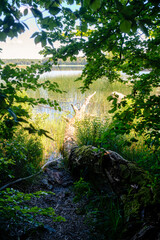 Blick auf einem See vom Ufer