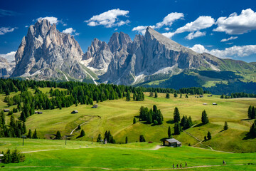 Alpe Altopiano di Siusi