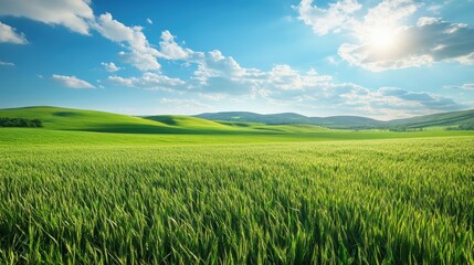 Obraz premium Lush Green Meadow Under a Bright Blue Sky with Rolling Hills in the Background