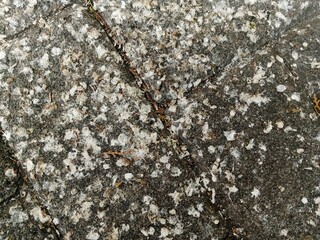 Close up of the pedestrian floor filled with bird droppings