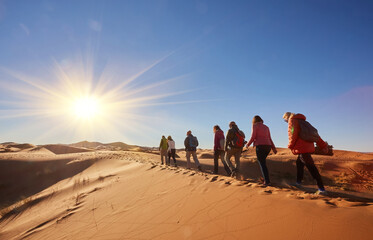 Obraz premium A group of tourists explores the majestic sand dunes of the Sahara Desert