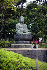 Fototapeta premium Buddha