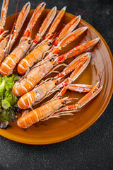 langoustine seafood shrimp prawns fresh meal food snack on the table copy space food background rustic top view