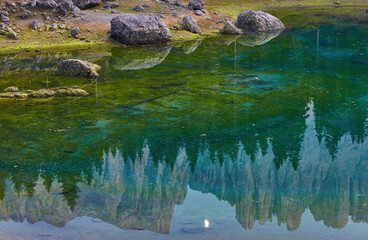 Stones and trees are reflected in the Carezza lake Karersee , UNESCO World Natural Heritage Site,...