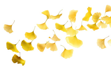 Naklejka premium PNG Falling gingko leaves blossom flower animal.