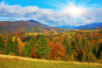 Beautiful autumn in the mountain forest.