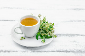 Lemon balm tea on white wooden background. Fresh edible herbs, trendy drink. Organic healthcare
