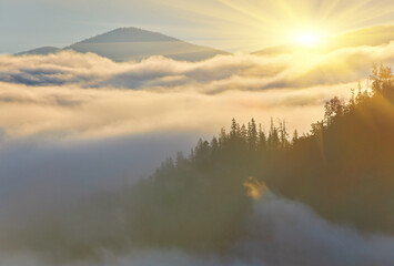 autumn afternoon in mountains. trees on the edge of a hill in fall colors. wonderful countryside of romania on a sunny weather in evening