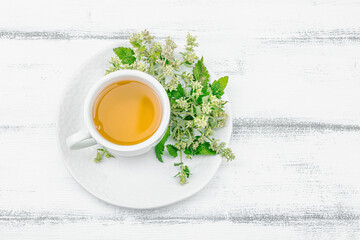 Lemon balm tea on white wooden background. Fresh edible herbs, trendy drink. Organic healthcare