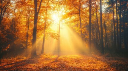 Obraz premium A forest with a sun shining through the trees, AI