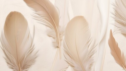 Soft Beige Feather Background: Aesthetic and Serene Wallpaper Design