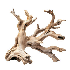 Fototapeta premium Unique driftwood piece showcasing intricate textures and natural beauty, isolated on a white or transparent background
