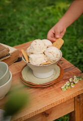 Homemade ice cream scoops in bowl on outdoor green background.