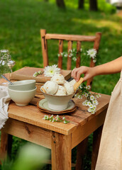 Homemade ice cream scoops in bowl on outdoor green background.