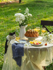 Chamomile flowers, books, glass teapot and cup with herbal tea on table in garden, natural background. summer season. relax time. useful calming tea. tea party outdoor